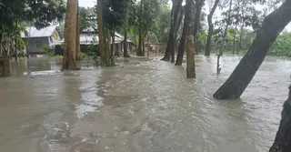 ঝালকাঠিতে নদীর পানি বেড়ে প্লাবিত নিম্নাঞ্চল